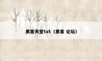 黑客天堂txt（黑客 论坛）