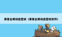 黑客全屏动态壁纸（黑客全屏动态壁纸软件）