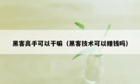 黑客高手可以干嘛（黑客技术可以赚钱吗）