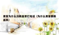 黑客为什么没戴面罩打电话(为什么黑客要戴面具)