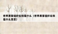 世界黑客组织名称是什么（世界黑客组织名称是什么意思）