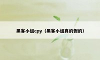 黑客小组cpy（黑客小组真的假的）