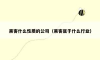 黑客什么性质的公司（黑客属于什么行业）