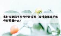 支付宝邮箱手机号分开设置（支付宝更改手机号邮箱是什么）