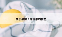 关于黑客上原瑞惠的信息