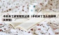 手机丢了修复聊天记录（手机掉了怎么找回聊天数据）