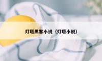 灯塔黑客小说（灯塔小说）