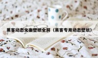 黑客动态文案壁纸全屏（黑客专用动态壁纸）