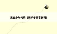 黑客少年代码(初学者黑客代码)