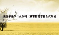黑客都是学什么代码(黑客都是学什么代码的)