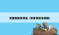 完整版黑客情侣（黑客情侣电视剧）
