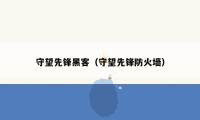 守望先锋黑客（守望先锋防火墙）