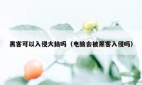 黑客可以入侵大脑吗（电脑会被黑客入侵吗）