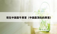 现在中国最牛黑客(中国最顶尖的黑客)