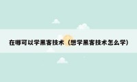 在哪可以学黑客技术（想学黑客技术怎么学）