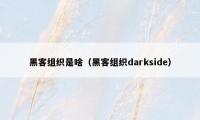 黑客组织是啥（黑客组织darkside）