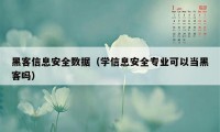 黑客信息安全数据（学信息安全专业可以当黑客吗）