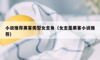 小说推荐黑客类型女主角(女主是黑客小说推荐)