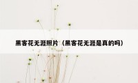 黑客花无涯照片（黑客花无涯是真的吗）