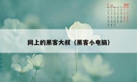 网上的黑客大叔(黑客小电脑)