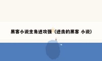 黑客小说主角进攻强(进击的黑客 小说)