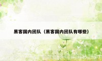 黑客国内团队（黑客国内团队有哪些）