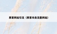 黑客网站引流(黑客攻击流量网站)