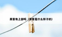 黑客有上部吗(黑客是什么样子的)