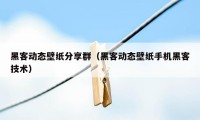 黑客动态壁纸分享群（黑客动态壁纸手机黑客技术）