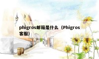 phigros邮箱是什么（Phigros客服）