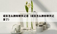 诺言怎么删除聊天记录(诺言怎么删除聊天记录了)