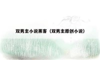 双男主小说黑客(双男主原创小说)