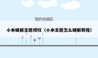 小米破解主题授权（小米主题怎么破解教程）