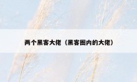 两个黑客大佬(黑客圈内的大佬)