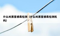 什么叫黑客病毒检测（什么叫黑客病毒检测机构）