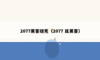 2077黑客烧死（2077 反黑客）