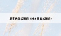 黑客代做关键词(排名黑客关键词)