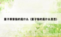 量子黑客指的是什么（量子指的是什么意思）