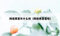 网络黑客长什么样（网络黑客是啥）