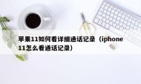 苹果11如何看详细通话记录(iphone11怎么看通话记录)