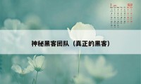 神秘黑客团队（真正的黑客）