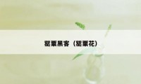 罂粟黑客（罂粟花）