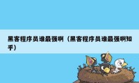 黑客程序员谁最强啊（黑客程序员谁最强啊知乎）