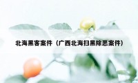 北海黑客案件（广西北海扫黑除恶案件）